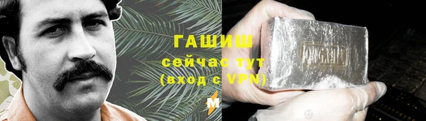 индика Арсеньев