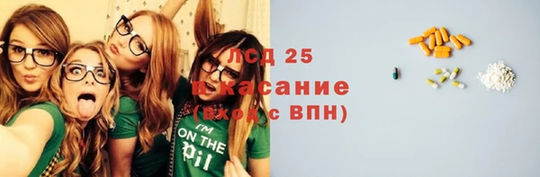 индика Арсеньев