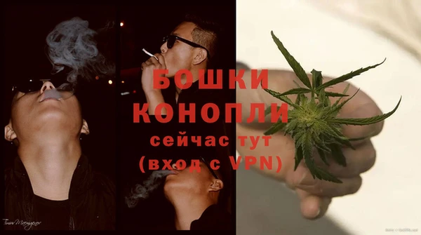 индика Арсеньев