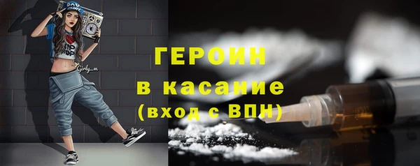 индика Арсеньев