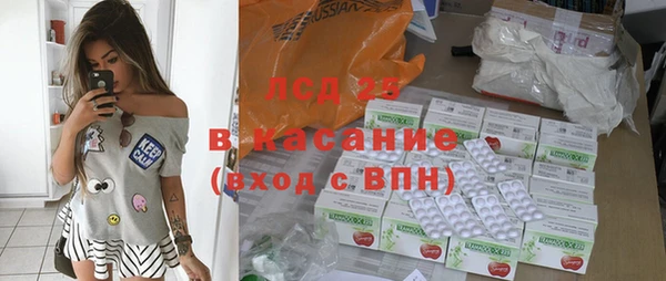индика Арсеньев